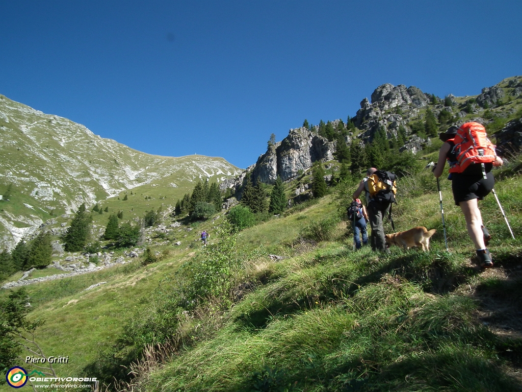 05 Uscita dal bosco-pineta entriamo in Val Carnera.JPG